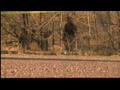News video: Body found in Mackenzie Park